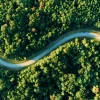 blog-1
